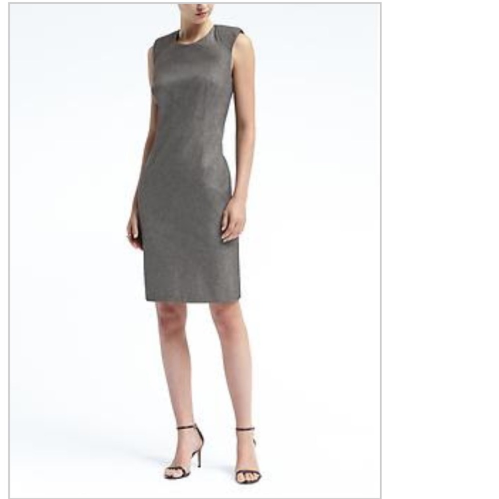 Banana Republic Petite Dress size 2